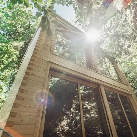 Treebox Вилла *