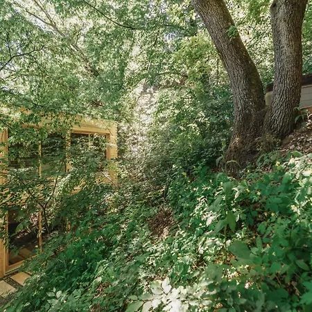 Treebox *