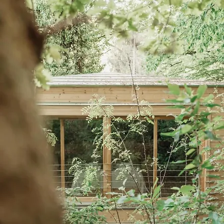 Treebox Villa Noszvaj