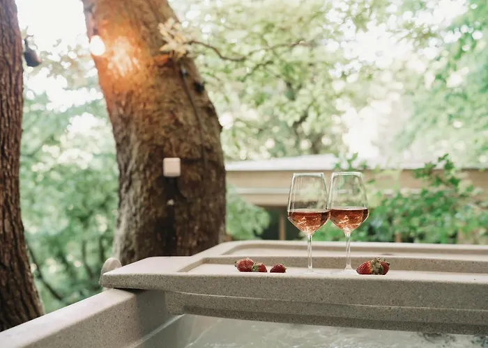 别墅 Treebox 诺茨瓦约