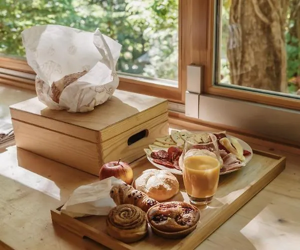 Treebox 别墅 诺茨瓦约